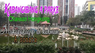 Kabangibang a parke /Chaiwan park Hongkong ken patukar ti kankanta. Makapalagip a sonata di kalman