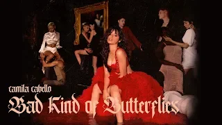 Camila Cabello (카밀라 카베요) - Bad Kind of Butterflies [가사해석/번역]