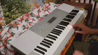 Огляд Casio LK-280