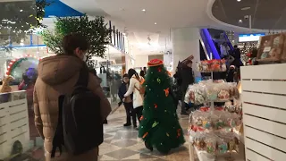 🎄Живая Новогодняя елка.❄☃️