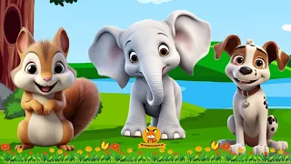 The Funniest Animal Sounds: Squirrel, Dog, Butterfly, Ferret,... | ANIMAL (BGM)