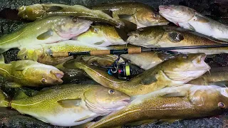 Поперла Треска!!! 44 кг рыбы! Ловля в Норвегии с берега