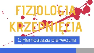 Fizjologia układu krzepnięcia 1: Hemostaza pierwotna