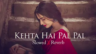 Kehta Hai Pal Pal | Slowed & Reverb | Lofi | Shir Sunny