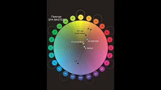 Математика цвета Колористика парикмахера идеальная система работы с цветом А.Кувватова