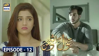 Mera Dil Mera Dushman Episode 12 - ARY Digital Drama