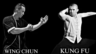 KUNG FU VS WING CHUN: The Ultimate Comparison!