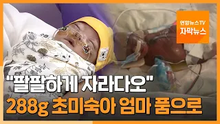 [자막뉴스] "팔팔하게 자라다오"…288g 초미숙아 엄마 품으로 / 연합뉴스TV (YonhapnewsTV)