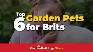 The Best Garden Pets to Keep Outdoors in the UK