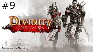 Divinity: Original Sin Enhanced Edition. Полное прохождение. Серия №9