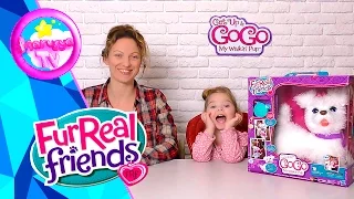 FurReal Friends - Интерактивная собачка GO GO 🌸 Обзор Интерактивная Игрушка Fur Real friends GoGo