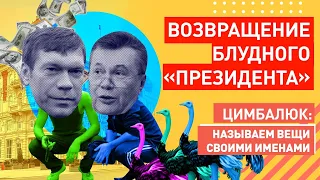 Путч БУДЕТ! Янукович и Царёв объявили о своем возращении на работу в Украину