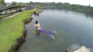 Friendly Siren plays in the shallows, allows herself to be photographed!-Sirenology Studios