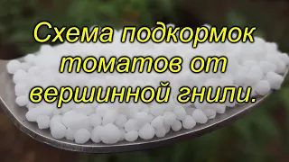 Кальций для томатов - схема подкормок от вершинной гнили.