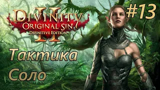 Прохождение Divinity: Original Sin 2 [Definitive Edition]. Тактика. Соло. #13