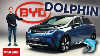 NEW BYD Dolphin – strange name, great EV? | What Car?