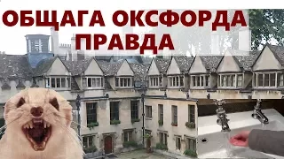 Ужасы общежития Оксфорда / Вся правда про общагу Оксфордского Университета