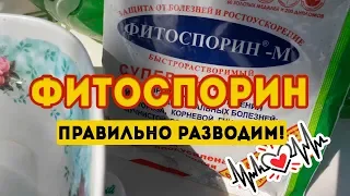 Фитоспорин приготовление концентрата! Правильный маточный раствор