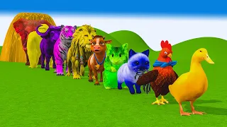 Paint Animals Ducks Cow Cat Gorilla Lion chicken Elephant Hamster Buffalo Fountain Crossing Animal