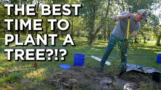 The Ultimate Tree Planting Guide | Timing is Everything