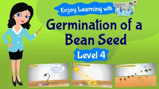 Seed Germination For Kids | Science | Grade 3 & 4 | TutWay