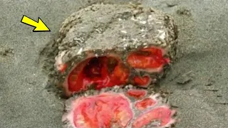 Scientists cut the stone in half and were stunned by what they saw!