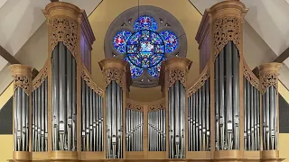 Organ Improvisation on Psalm 68 | Pasi Organ Op. 28 | Heloise Degrugillier - Recorders & Krummhorn