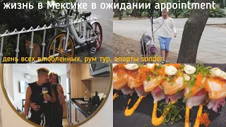 148. жизнь в МЕКСИКЕ в ожидании appointment 🍣