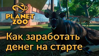 [2] Секрет заработка денег на ранних этапах игры - Planet Zoo | Прохождение на русском