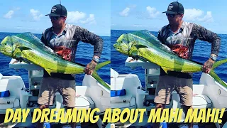 FISHING TRIP | MAHI MAHI | DOLPHIN FISH | Gold Coast