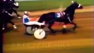 1976 Scioto Downs PICKWICK BARON Independence FFA Pace Mel Turcotte World Record