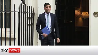 Spring Statement: Tax, fuel duty and NI cuts in Rishi Sunak's mini-budget