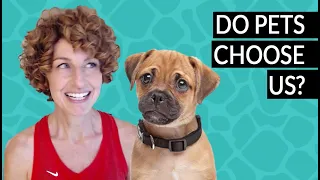 A Dog's Purpose: Why Your Pet Chose You | Animal Communicator Danielle MacKinnon