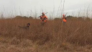 Youth Pheasant hunt 2019