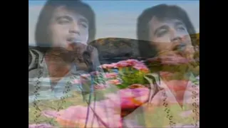 Elvis Presley 'You' ll Never Walk Alone' best version, with beautiful slideshow  mp4 8H9T7427EbI