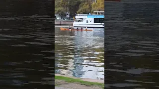 Frankfurt am main|Beautiful walk along the River|Main #frankfurt #mainufer #shorts   25 Oktober 2022