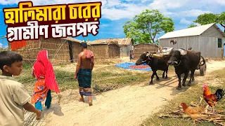 গাইবান্ধা,হাতিমারা চরের মানুষের জীবনের গল্প || Gaibandha || Hatimara char