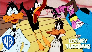 Looney Tuesdays | Daffy's Bad Luck | @wbkids