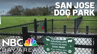 San Jose homeless encampment cleared out for dog park