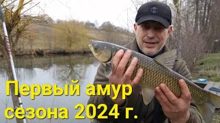 Первый амур сезона 2024 г. Новый водоём!