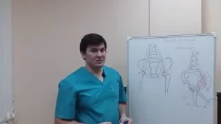 Поясничная мышца Psoas