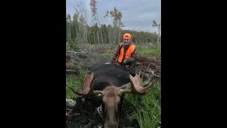 NB Moose Hunt with Jacob Allain