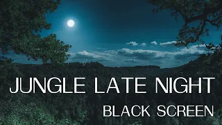 JUNGLE ATMOSPHERE Late Night 10 HOURS Nature Sounds BLACK SCREEN RELAX