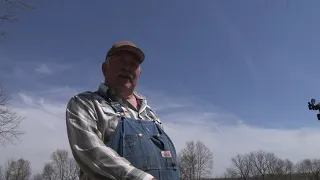 Farming Potatoes with Mule Power