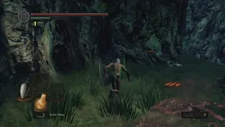 Unluckiest death in Dark Souls?