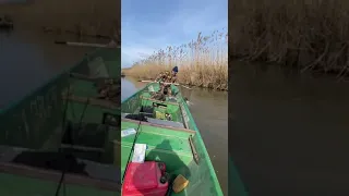 рыба в Казахстане после срыва дамбы