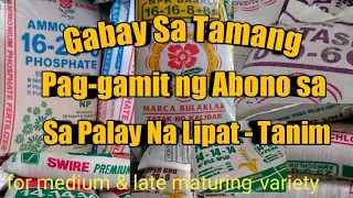 Gabay sa Tamang Pag -gamit ng Abono sa Palay na Lipat - Tanim