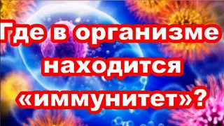 ИЗБАВИТЬСЯ ОТ ГРИБОВ И ПЛЕСЕНИ В ТЕЛЕ, В чем причина ,Диабета,ПСОРИАЗА, гипертонии? #здоровье