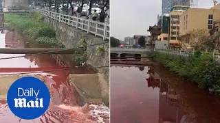 Blood turns local river red after slaughterhouse contamination - Daily Mail