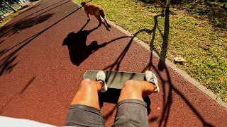 POV - Skate Dog Bread